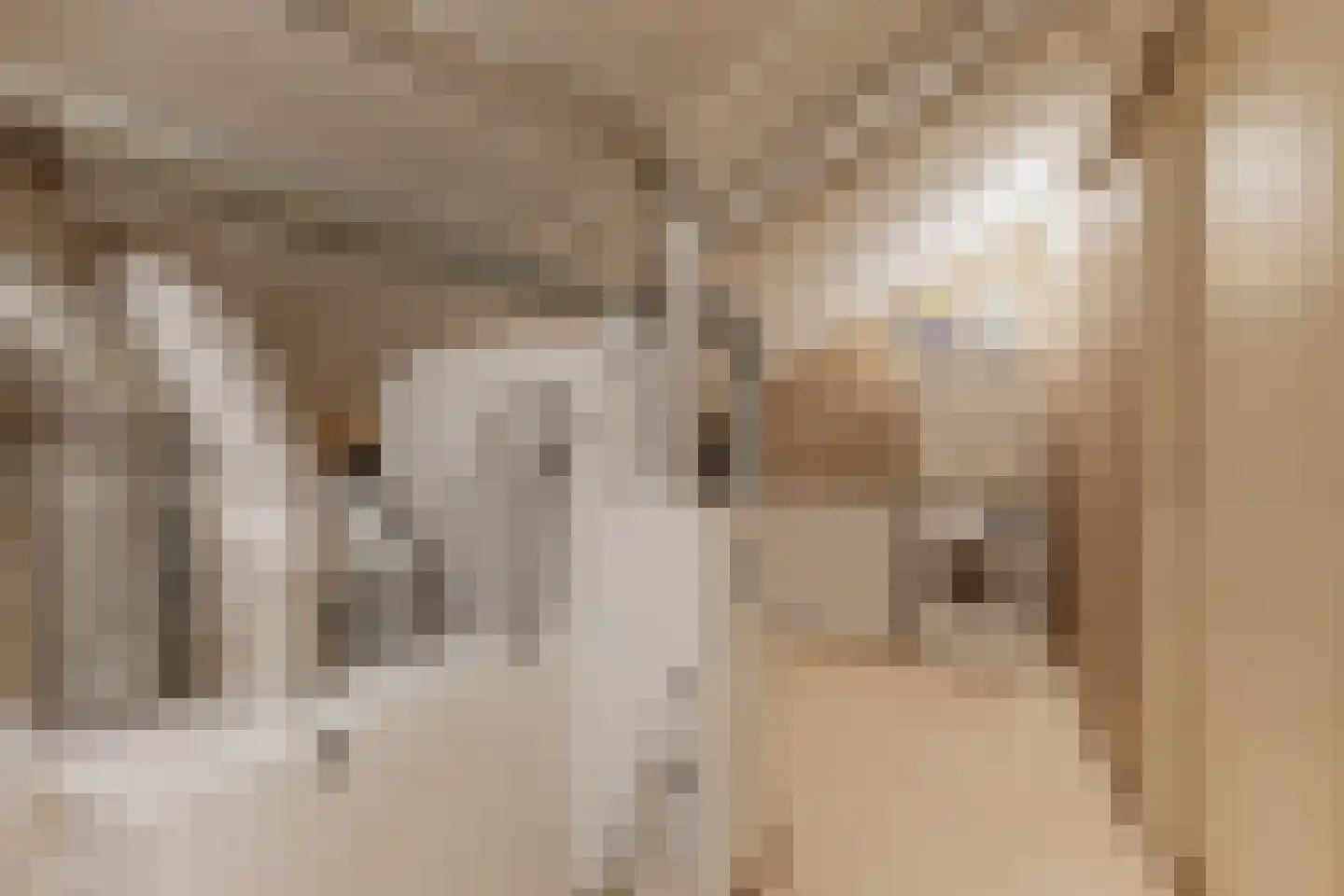 Bazillehof 56 Hoorn thumbnail 31