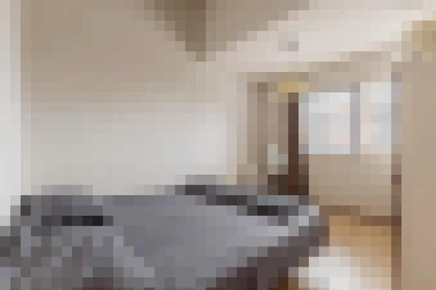 Bazillehof 56 Hoorn thumbnail 32