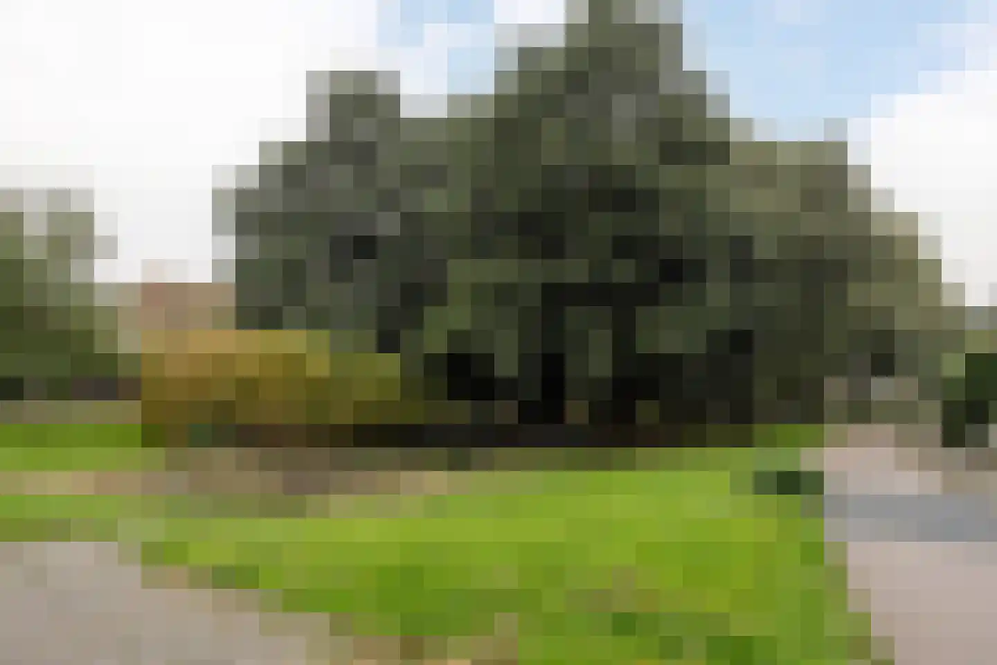 Bazillehof 56 Hoorn thumbnail 44