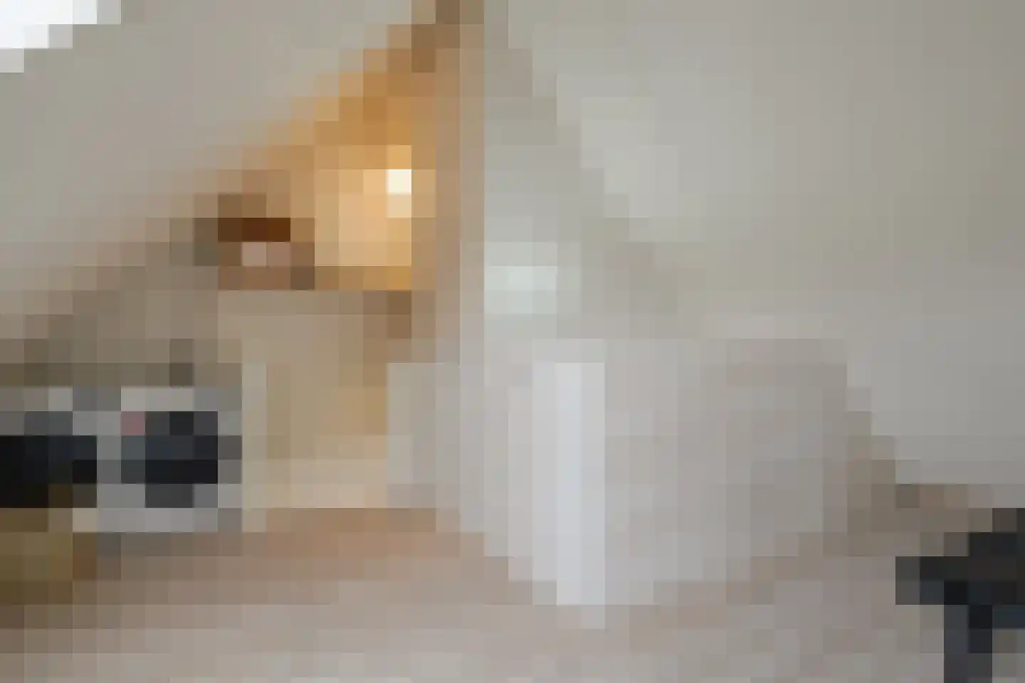 Bazillehof 69 Hoorn thumbnail 31