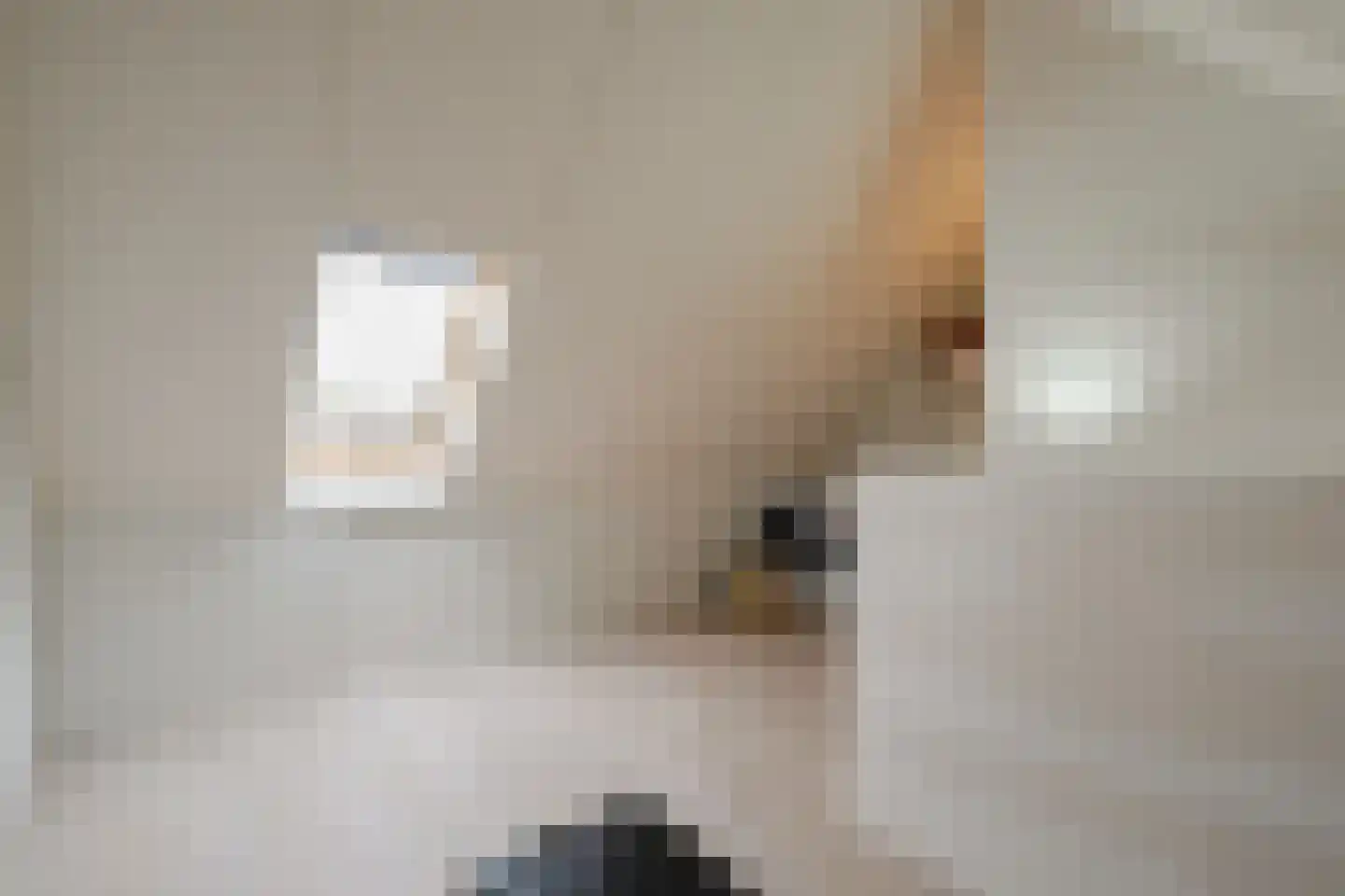 Bazillehof 69 Hoorn thumbnail 34