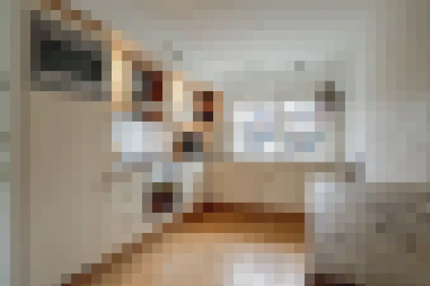 Bazillehof 69 Hoorn thumbnail 8