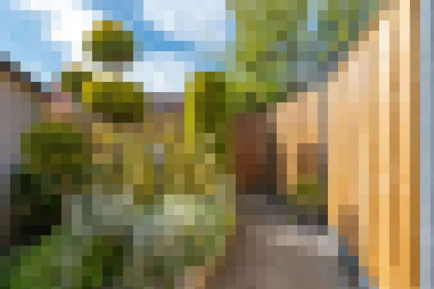 Bazillehof 79 Hoorn thumbnail 26