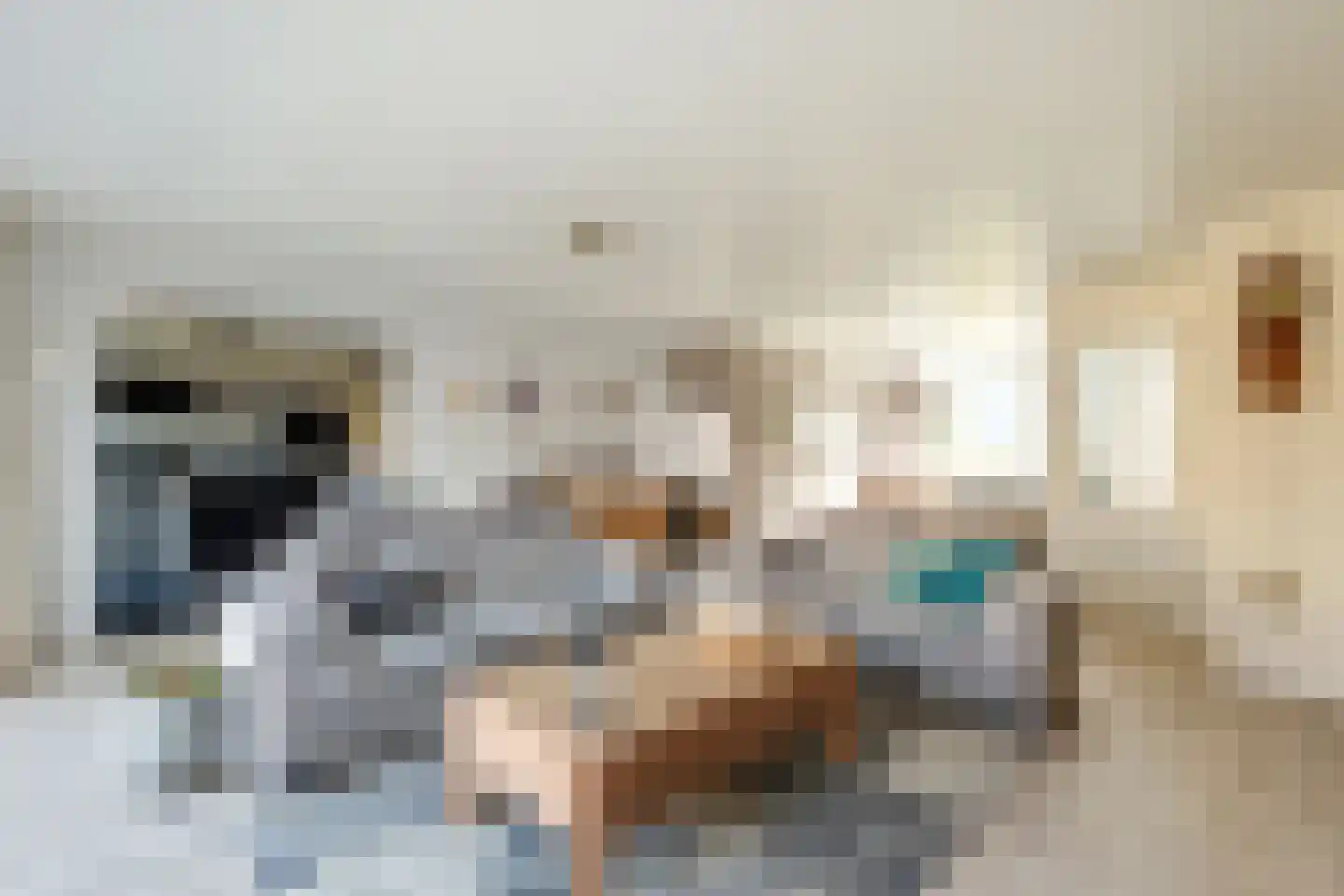 Bazillehof 79 Hoorn thumbnail 30