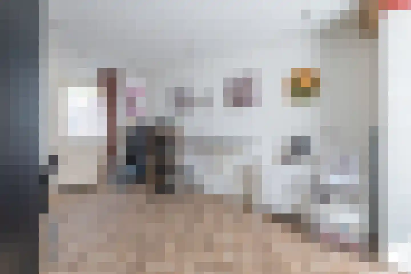Bazillehof 79 Hoorn thumbnail 40