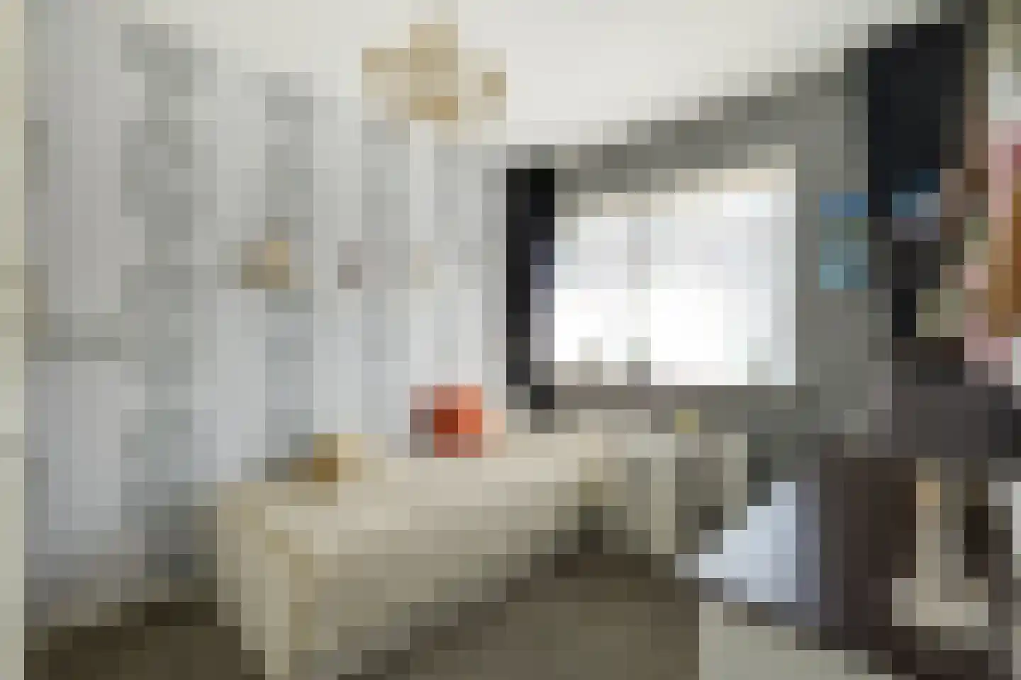 Bazillehof 79 Hoorn thumbnail 50