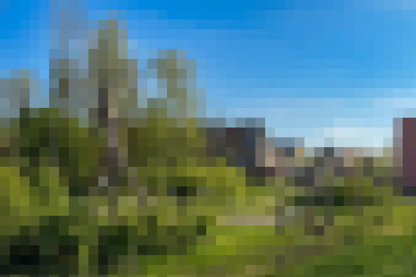 Bazillehof 79 Hoorn thumbnail 72