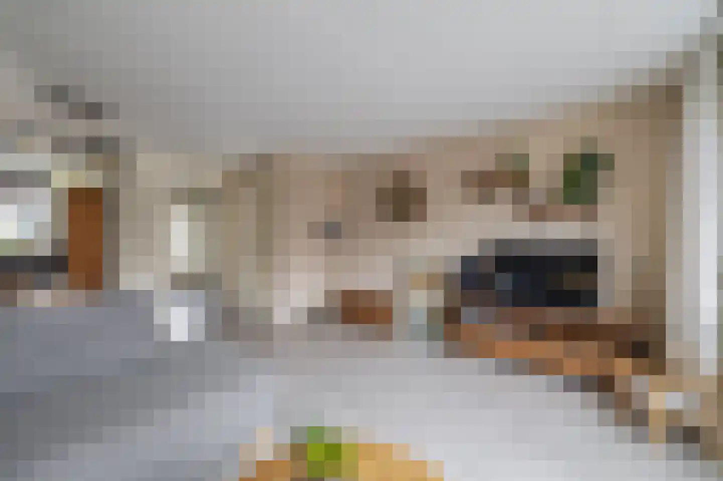 Bazuindreef 76 Harderwijk thumbnail 9