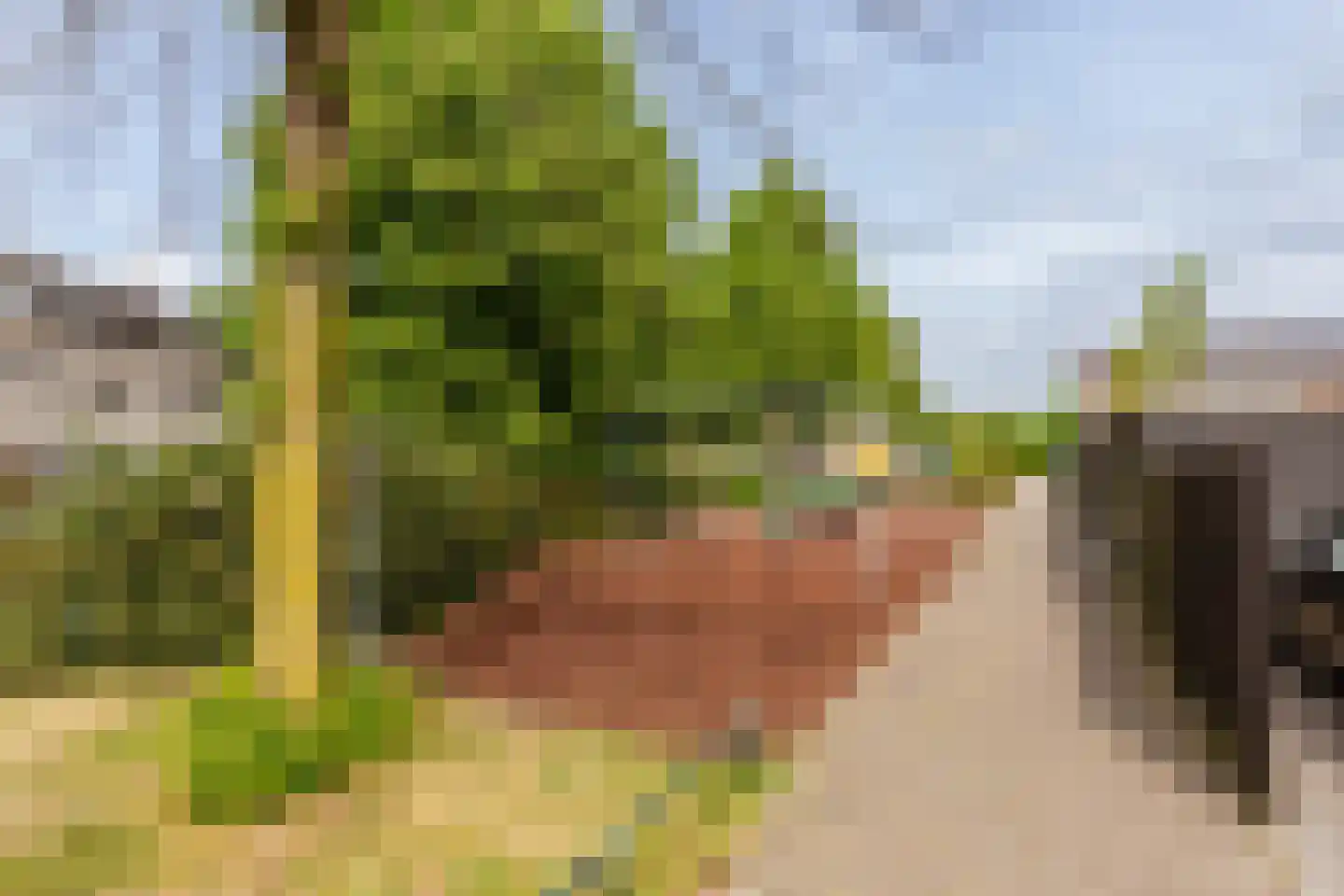 Bazuindreef 79 Harderwijk thumbnail 42