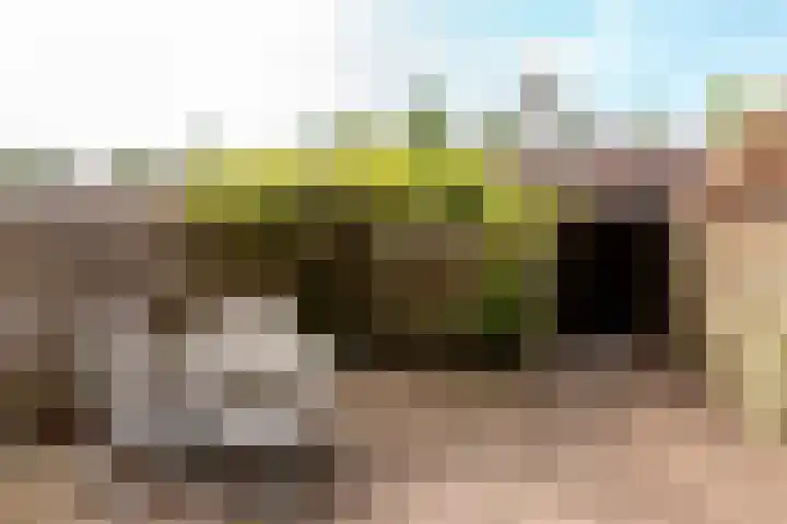 Bazuindreef 84 Harderwijk thumbnail 21