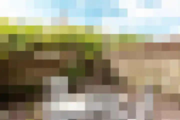 Bazuindreef 84 Harderwijk thumbnail 22