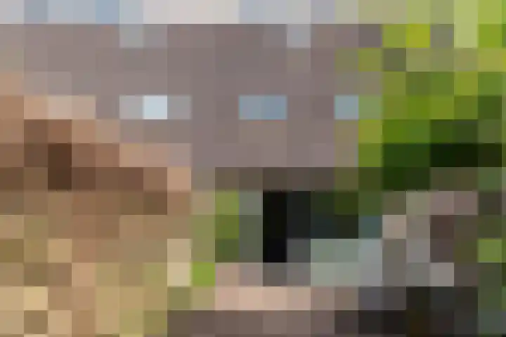 Bazuindreef 84 Harderwijk thumbnail 23