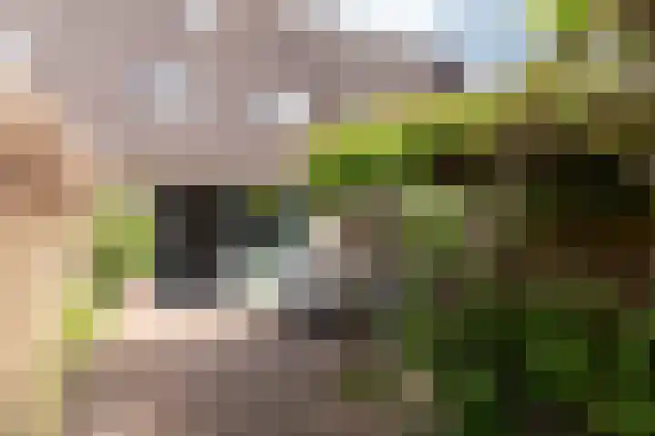 Bazuindreef 84 Harderwijk thumbnail 24