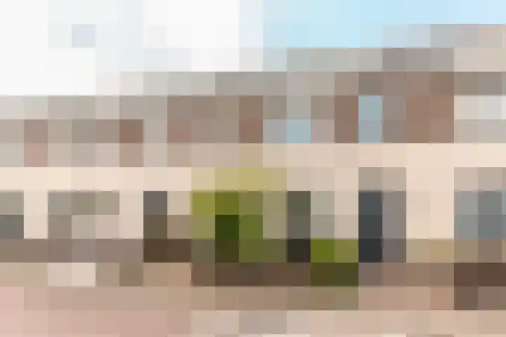 Bazuindreef 84 Harderwijk thumbnail 26