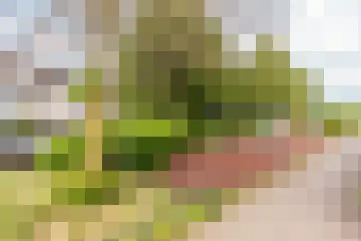 Bazuindreef 84 Harderwijk thumbnail 28
