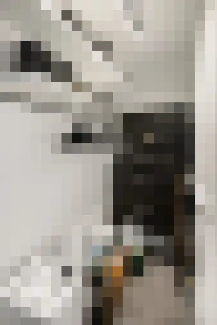 Bazuinhof 55 Utrecht thumbnail 10