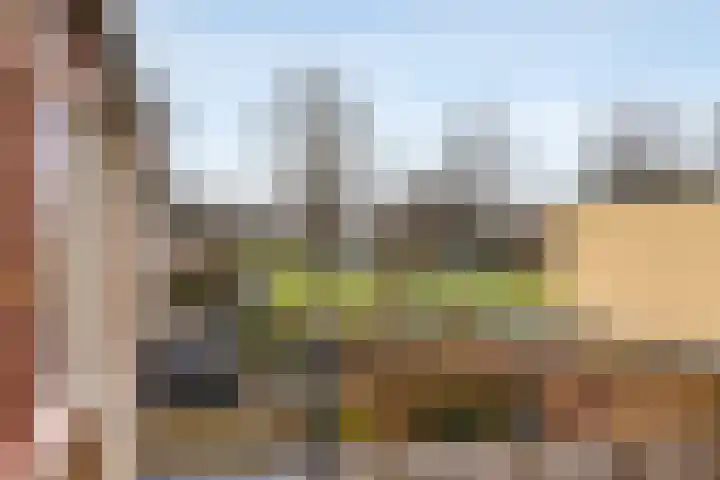 Bazuinhof 55 Utrecht thumbnail 13
