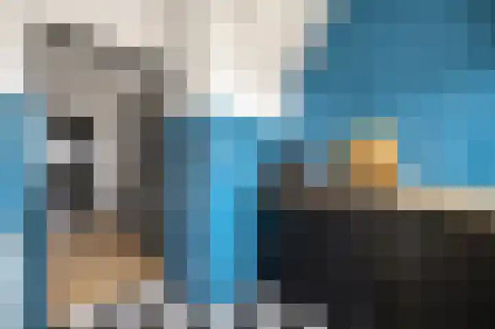 Bazuinhof 55 Utrecht thumbnail 19