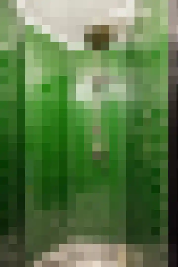 Bazuinhof 55 Utrecht thumbnail 21