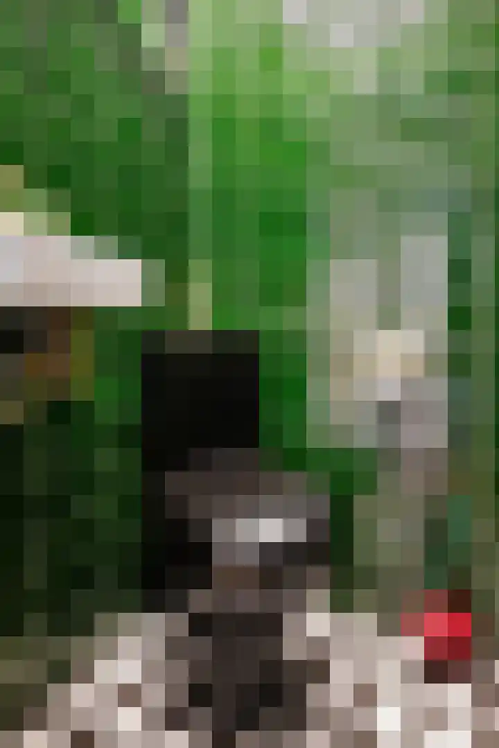 Bazuinhof 55 Utrecht thumbnail 22
