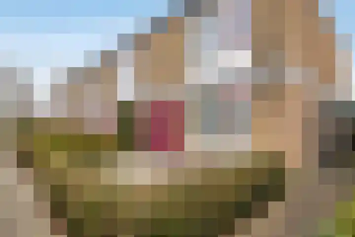 Bazuinhof 55 Utrecht thumbnail 27
