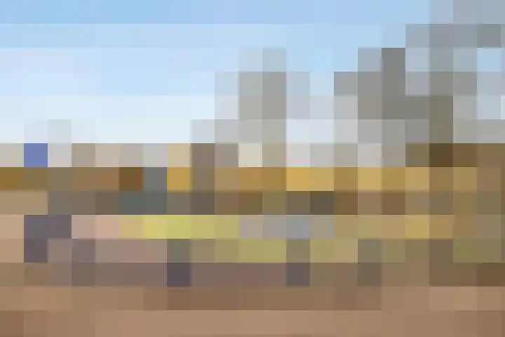 Bazuinhof 55 Utrecht thumbnail 30