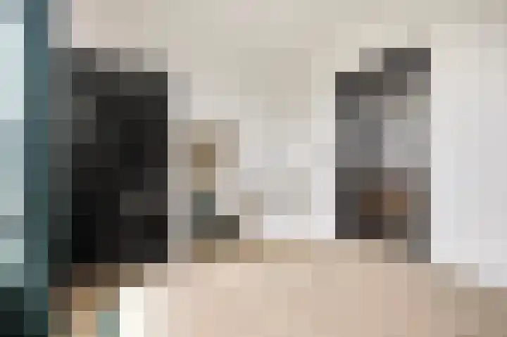 Bazuinhof 55 Utrecht thumbnail 9