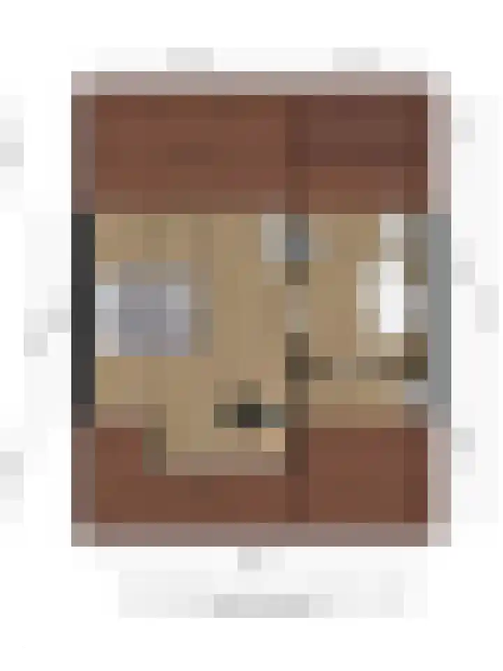 Bazuinlaan 157 Etten-Leur thumbnail 35