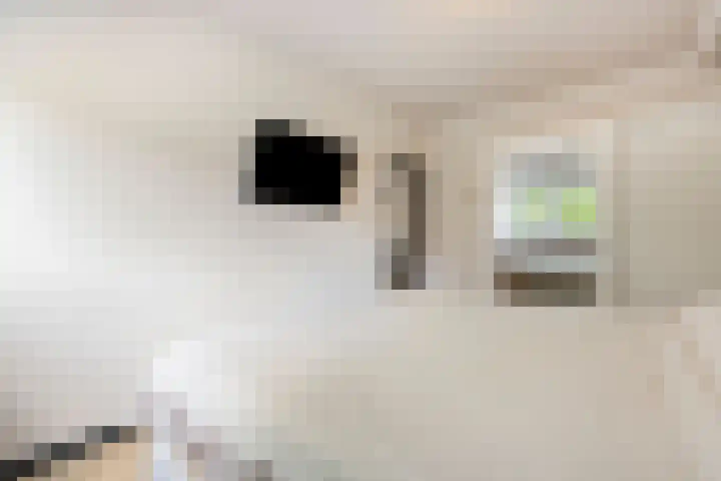 Bazuinlaan 17 Rijswijk thumbnail 19
