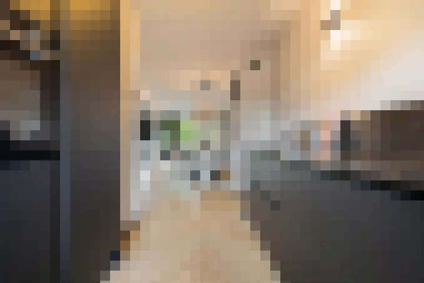 Bazuinlaan 17 Rijswijk thumbnail 4