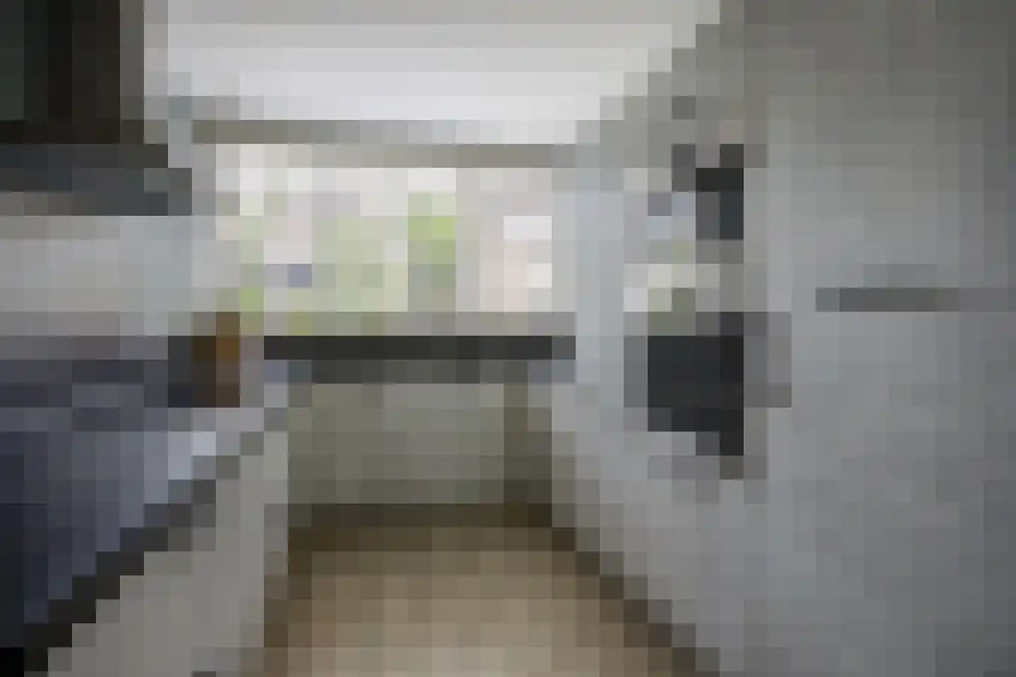 Bazuinlaan 21 Etten-Leur thumbnail 16