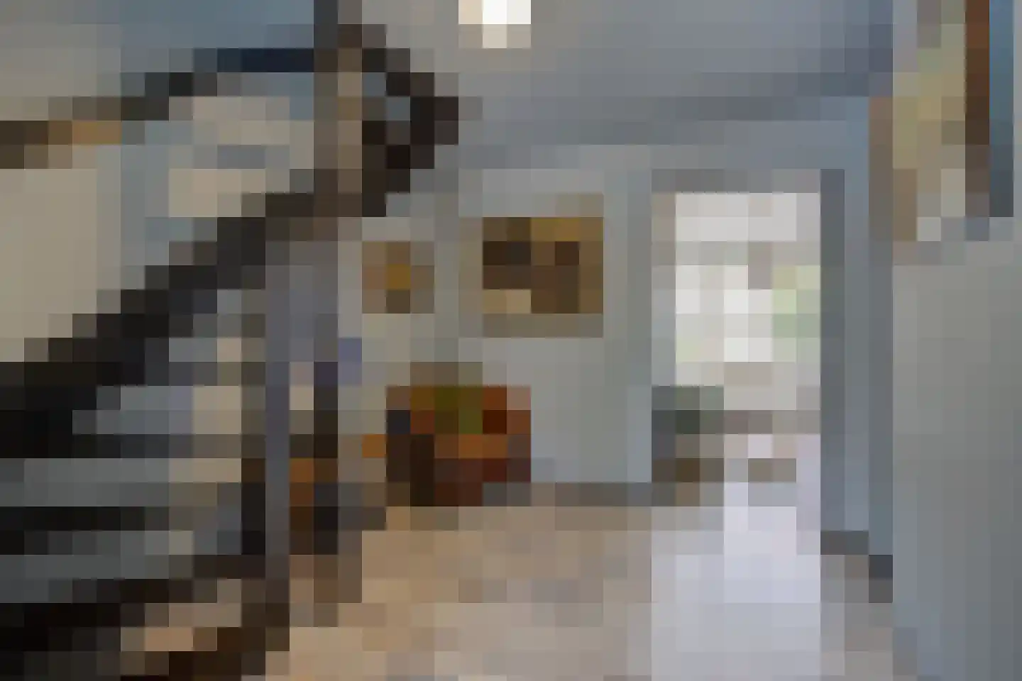 Bazuinlaan 21 Etten-Leur thumbnail 20