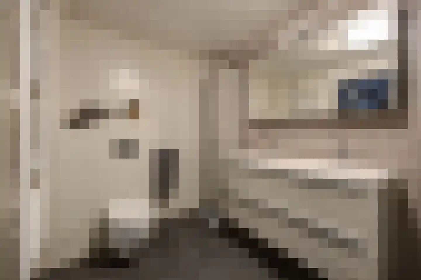 Bazuinlaan 21 Etten-Leur thumbnail 29