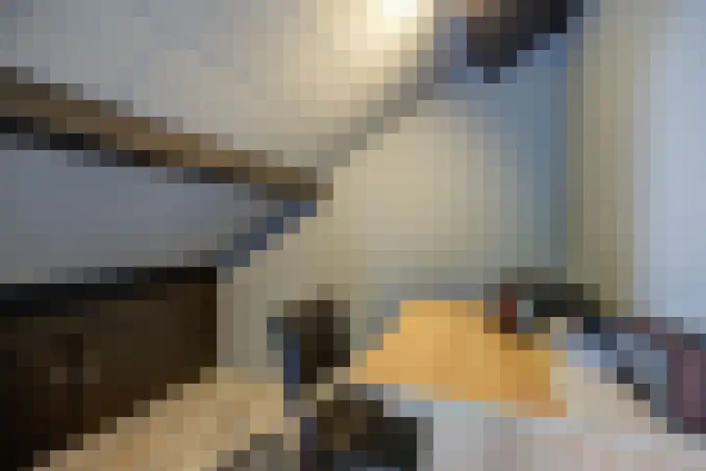 Bazuinlaan 21 Etten-Leur thumbnail 34
