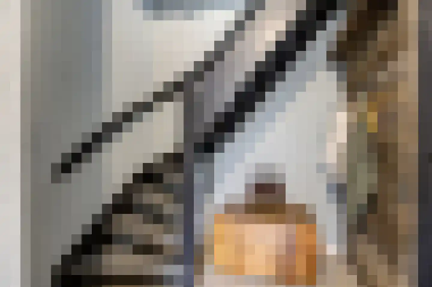 Bazuinlaan 21 Etten-Leur thumbnail 7