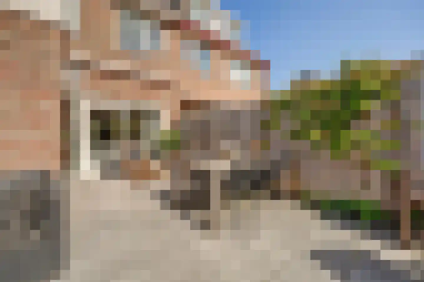 Bazuinlaan 23 Nieuwegein thumbnail 19