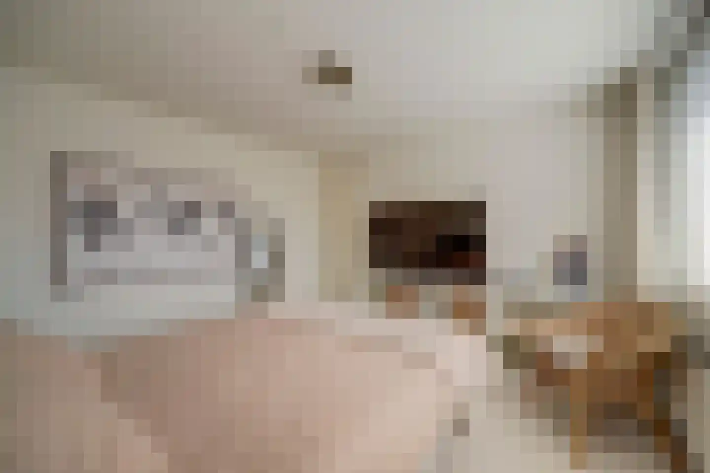 Bazuinlaan 23 Nieuwegein thumbnail 25