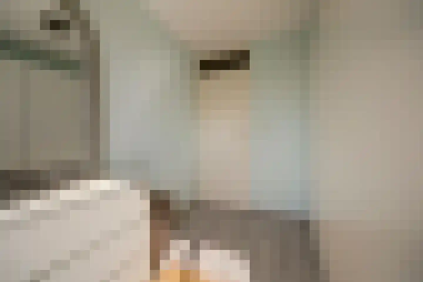 Bazuinlaan 23 Nieuwegein thumbnail 27