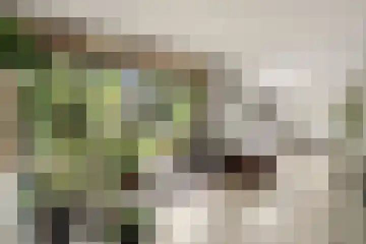 Bazuinlaan 38 Nieuwegein thumbnail 19