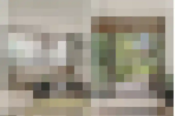 Bazuinlaan 38 Nieuwegein thumbnail 20