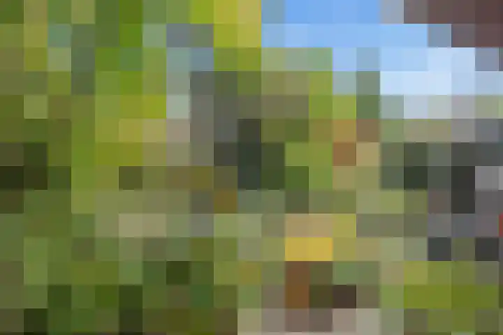Bazuinlaan 38 Nieuwegein thumbnail 24