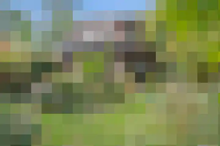 Bazuinlaan 38 Nieuwegein thumbnail 27