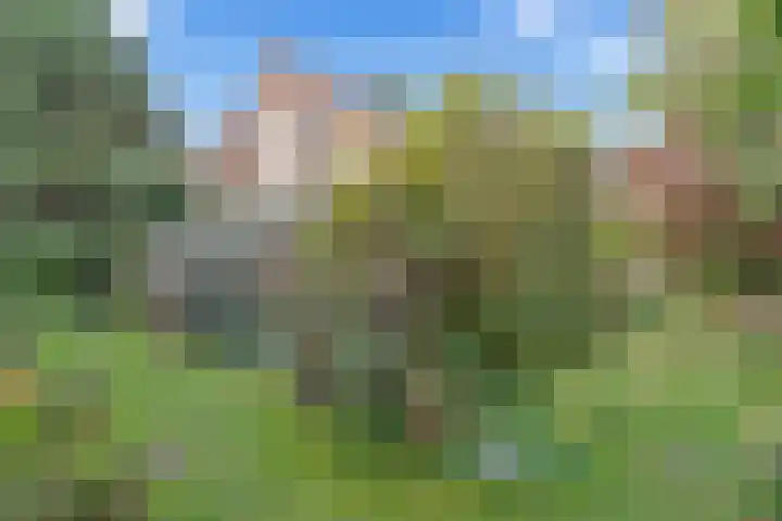 Bazuinlaan 38 Nieuwegein thumbnail 30