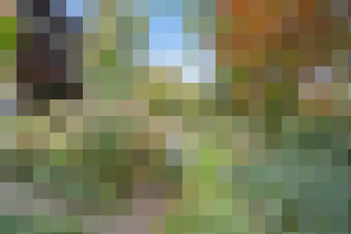 Bazuinlaan 38 Nieuwegein thumbnail 32