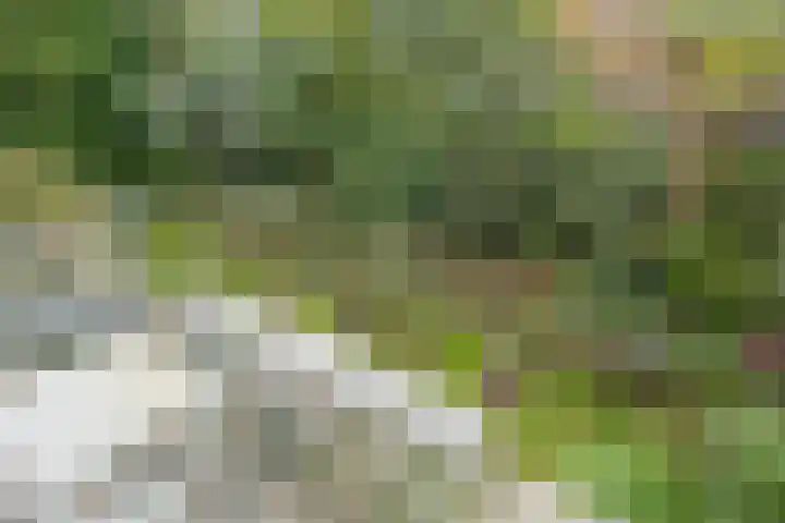 Bazuinlaan 38 Nieuwegein thumbnail 33