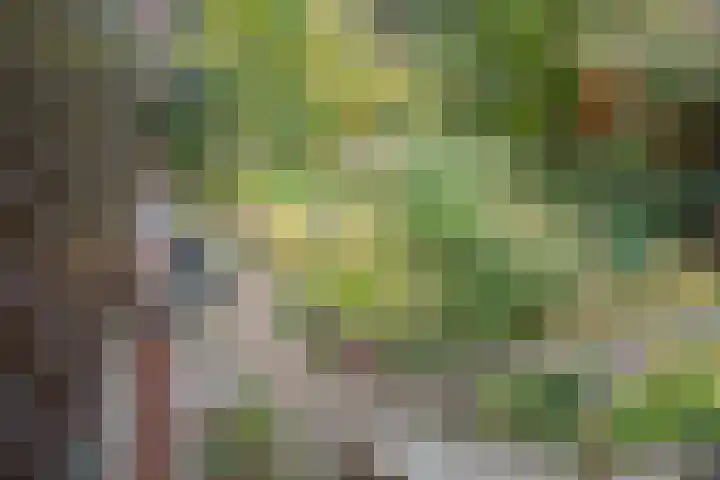 Bazuinlaan 38 Nieuwegein thumbnail 34