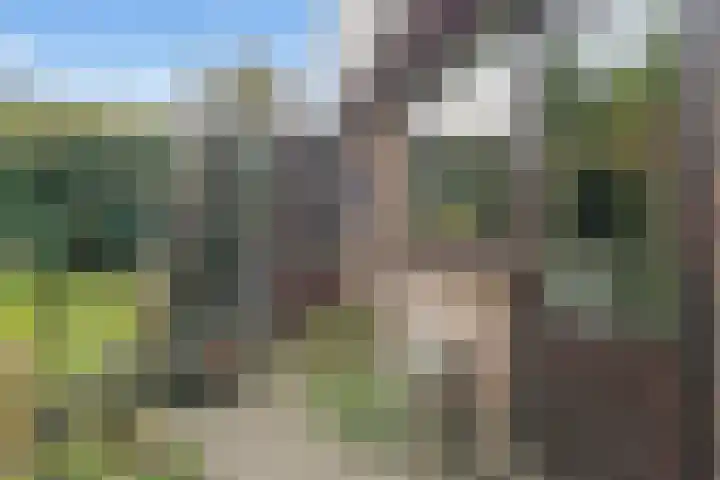 Bazuinlaan 38 Nieuwegein thumbnail 36