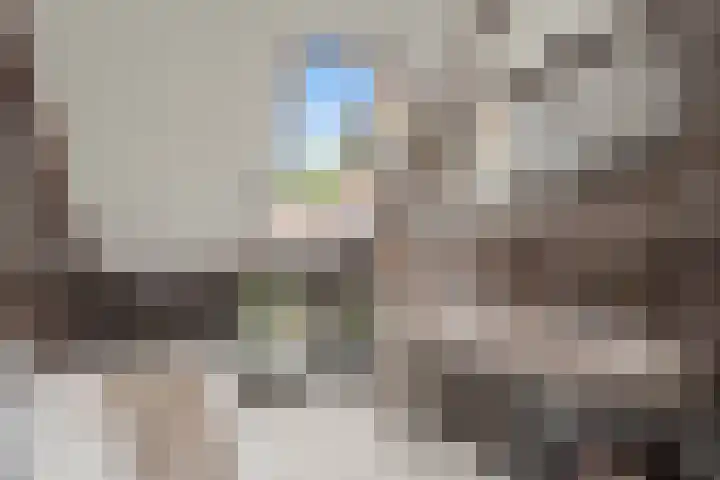 Bazuinlaan 38 Nieuwegein thumbnail 48