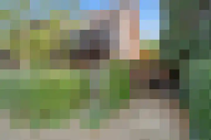 Bazuinlaan 38 Nieuwegein thumbnail 6