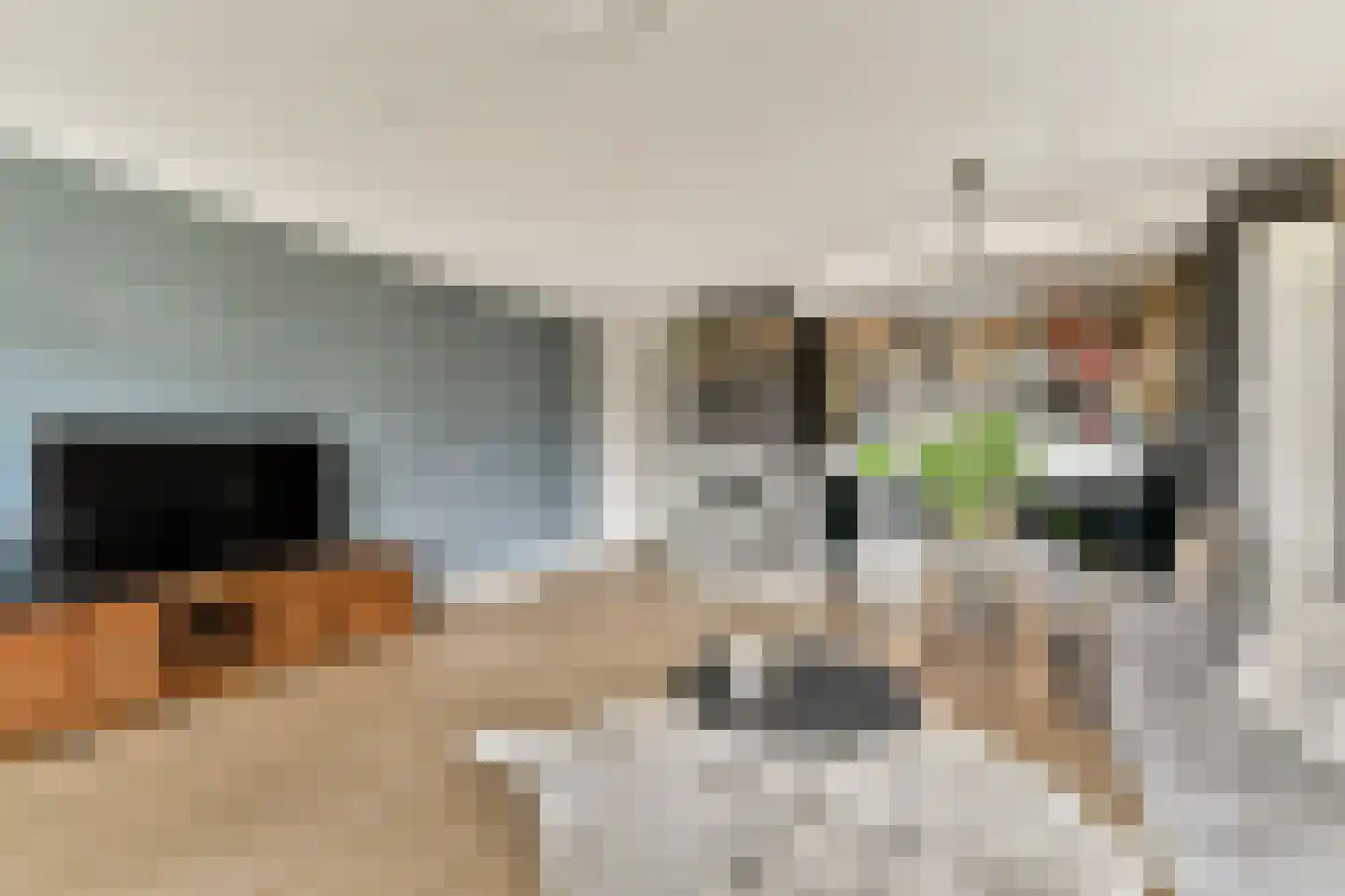 Bazuinlaan 73 Rijswijk thumbnail 11